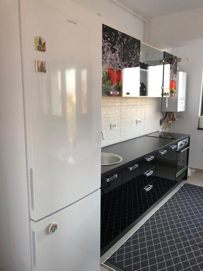 Apartament Brancusi *