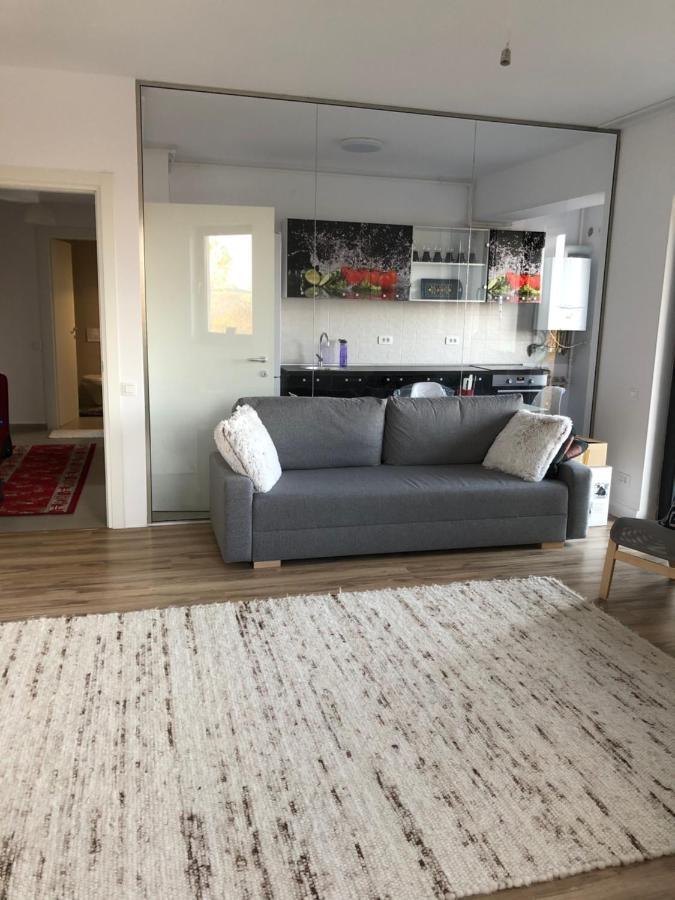 Brancusi Apartament *